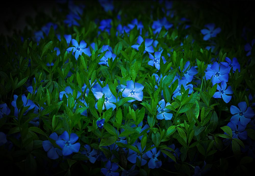 Photograph by Николай Феофанов