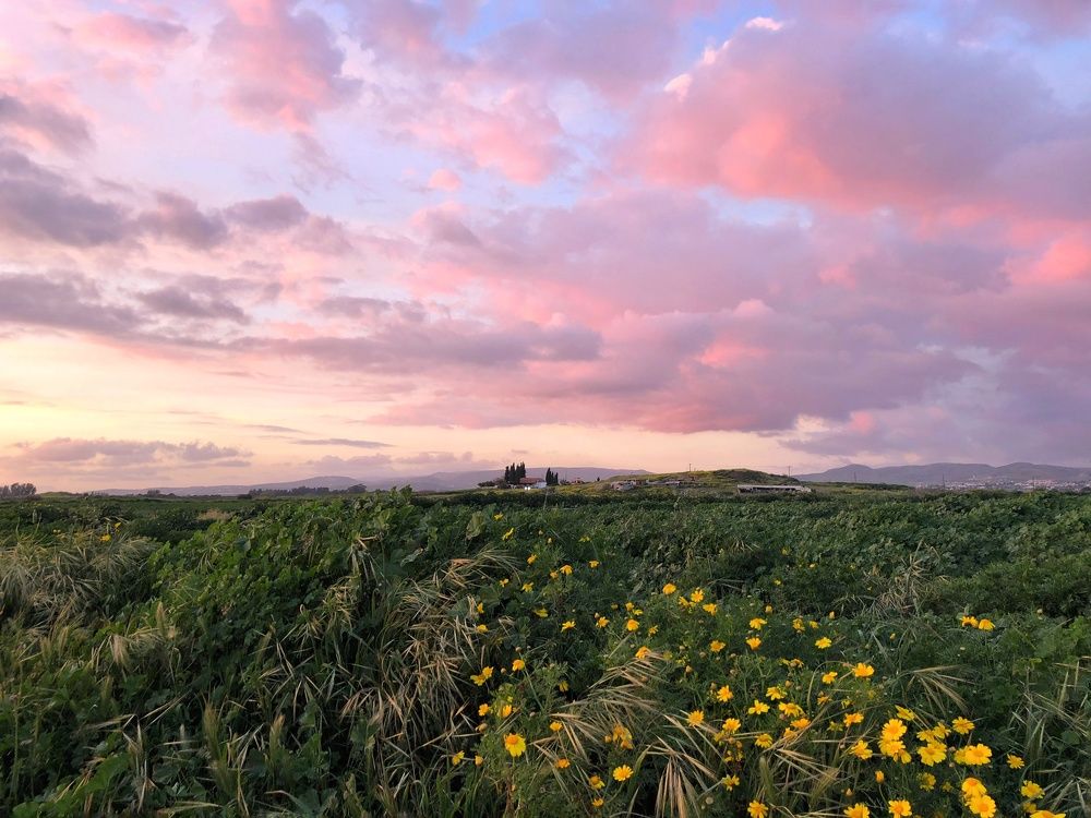 Photograph by Antonova Marina