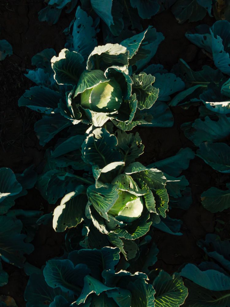 Photograph by Владислав Данилов