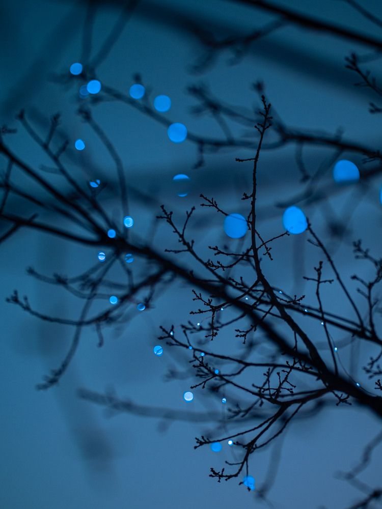 Photograph by Доляна Ашкова