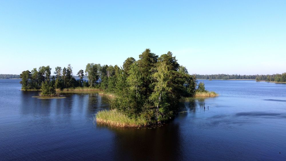 Photograph by АНДРЕЙ ОБРЯДОВ