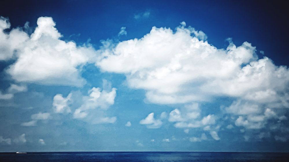 Photograph by Ali Abu Ras