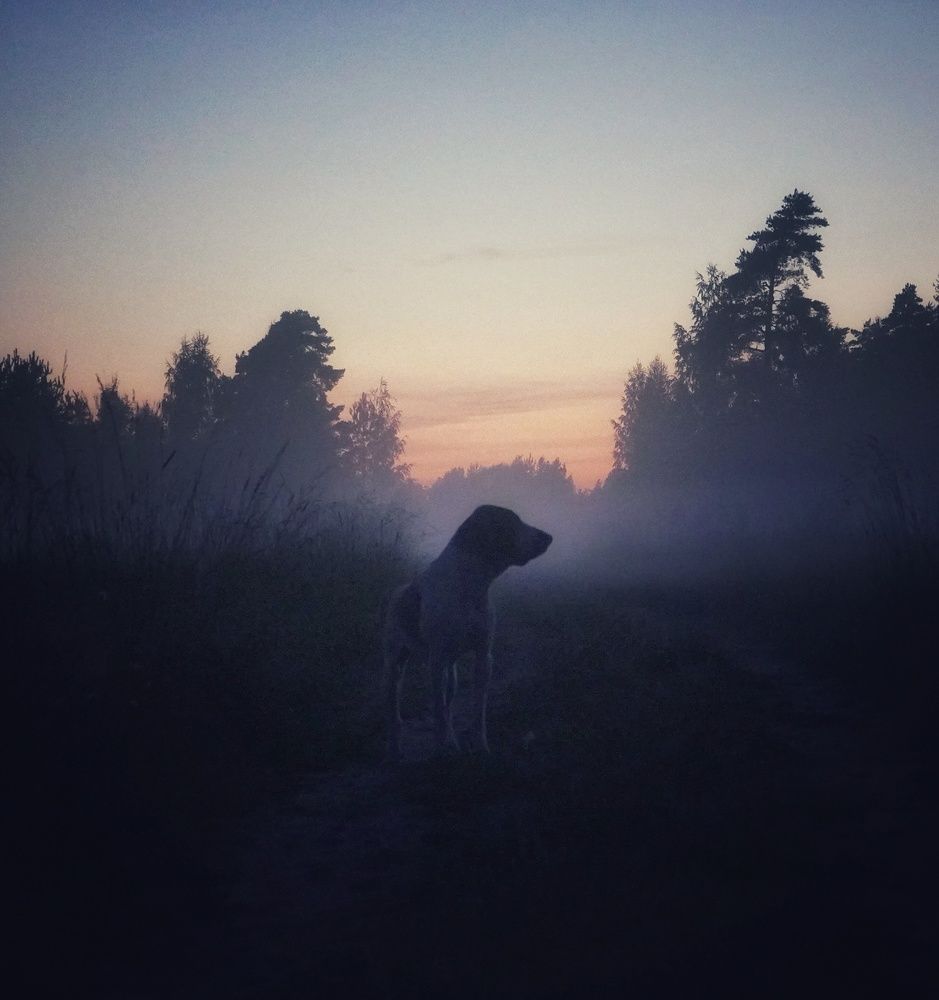 Photograph by Марина Безенкина