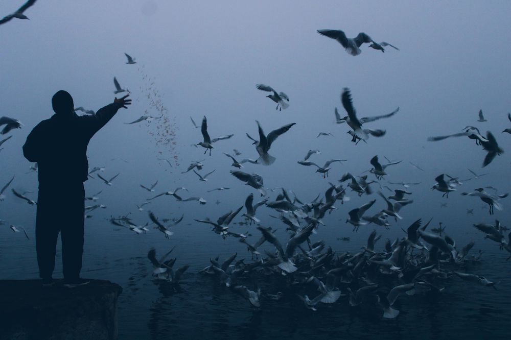 Photograph by Simran Gauba