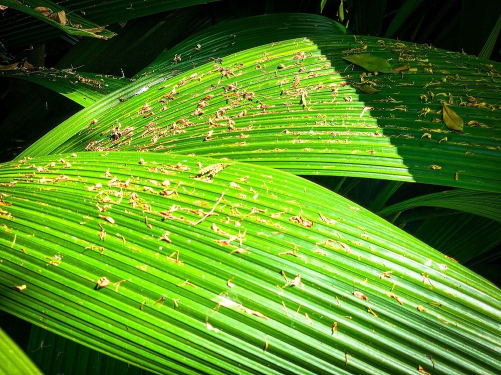 Фотография автора Regina Sant Anna