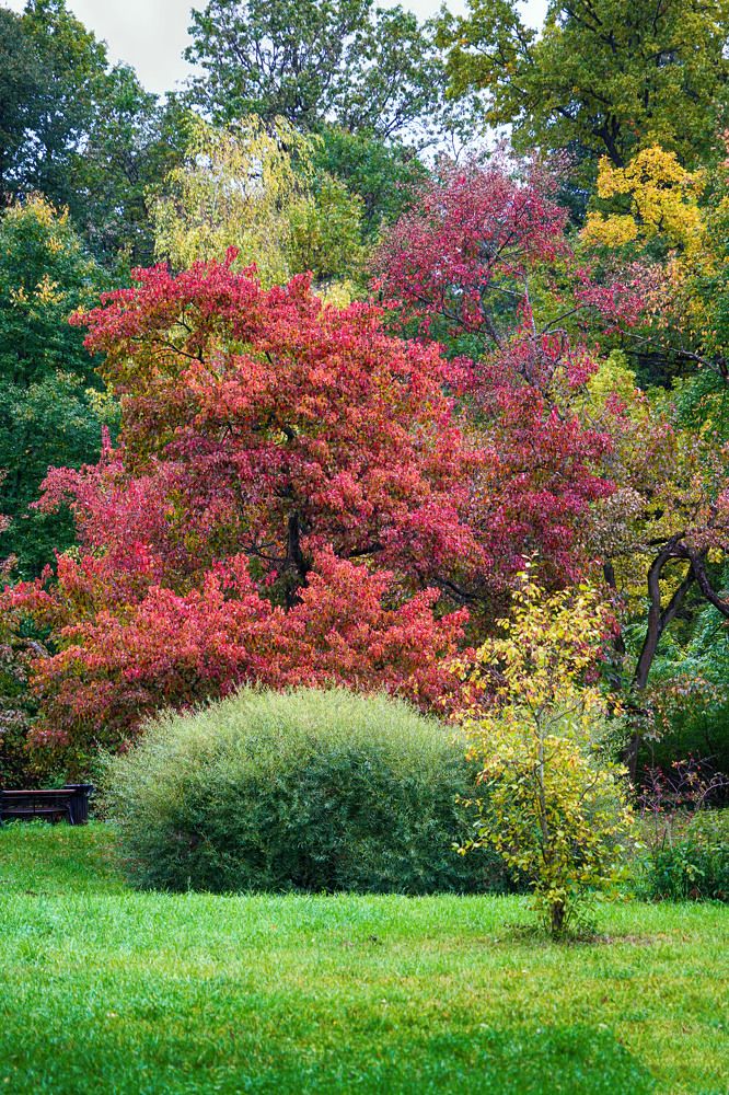 Photograph by Владимир Гречанинов