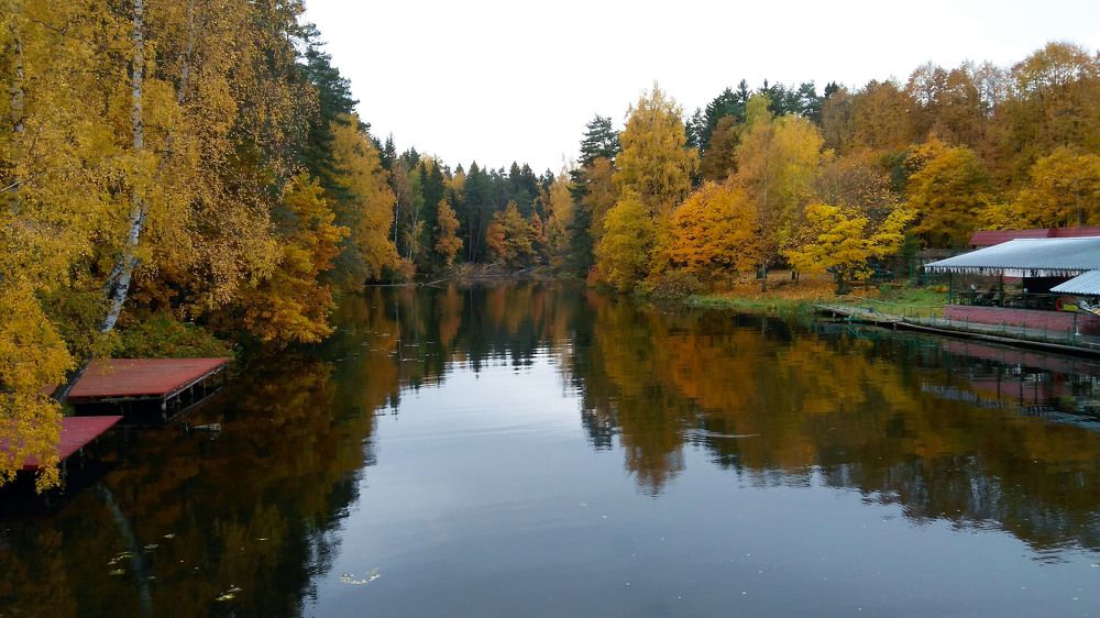 Photograph by Владимир Гречанинов