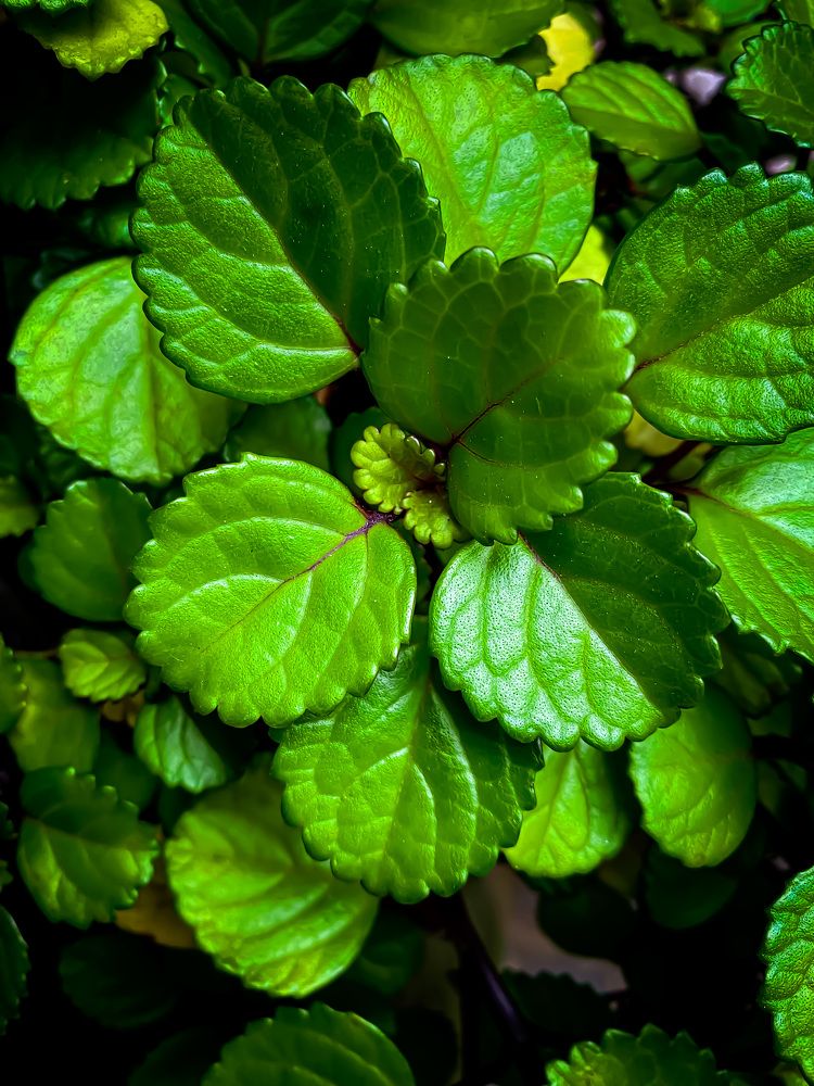 Фотография автора Regina Sant Anna