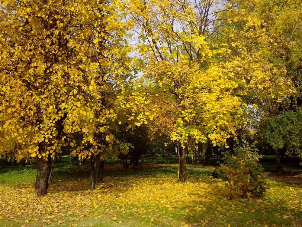 Photograph by Александр Баданов