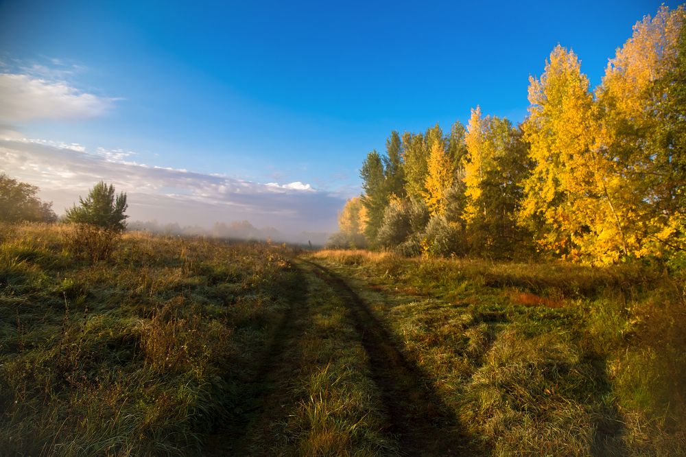 Photograph by Иванов Александр