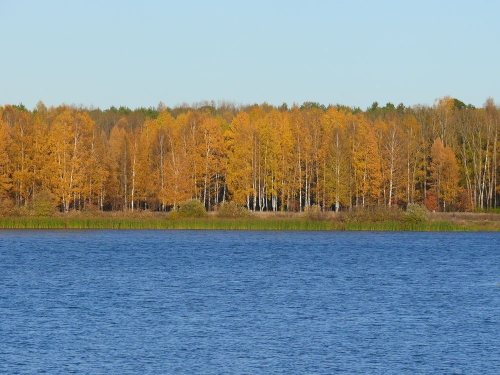 Photograph by Александр Баданов