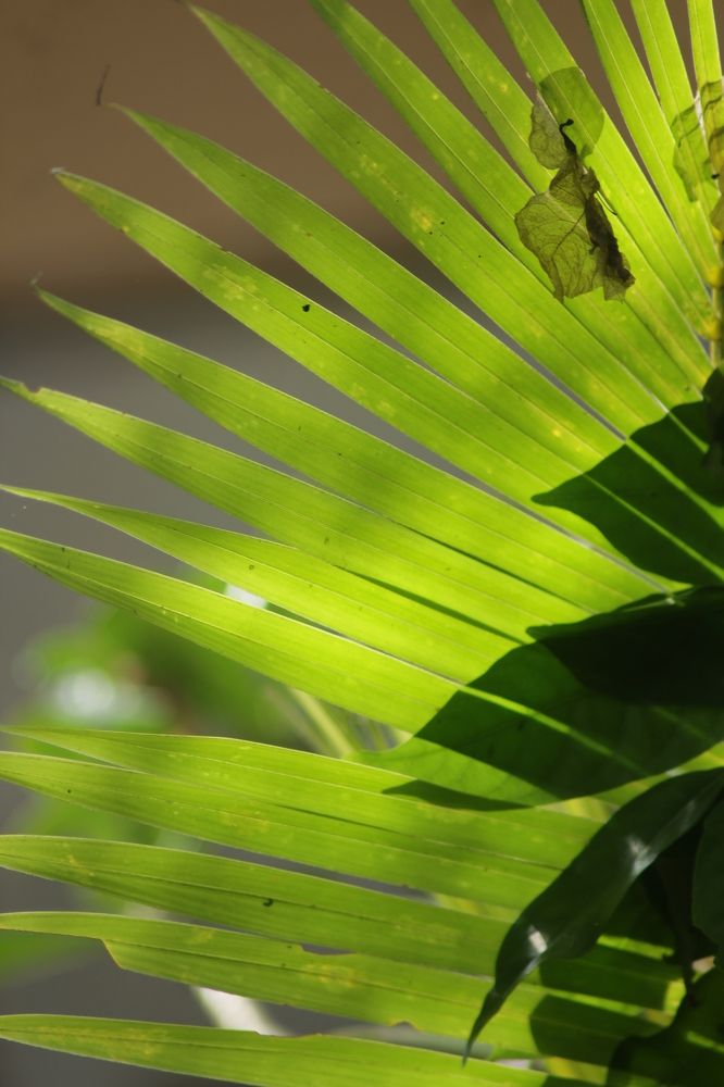 Photograph by dewa putra