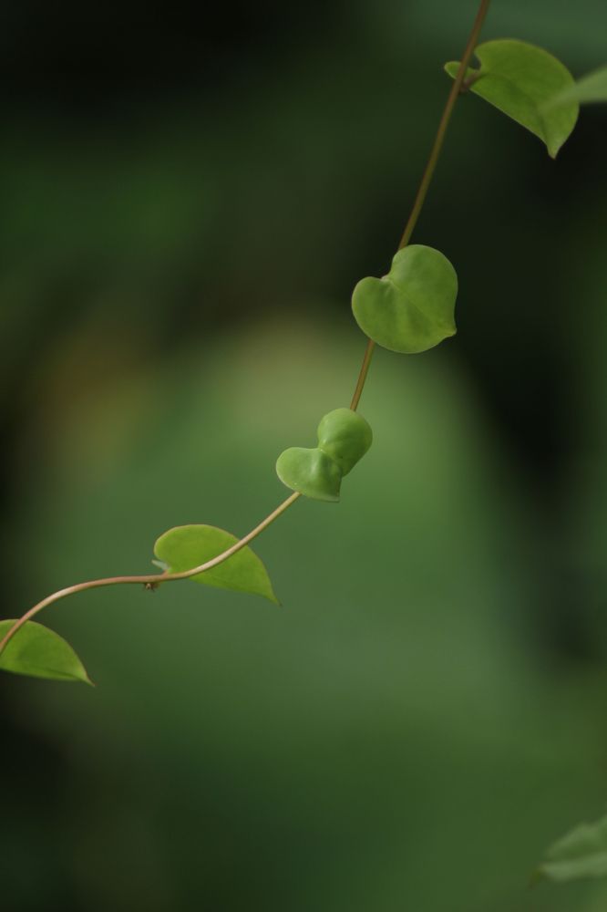 Photograph by dewa putra