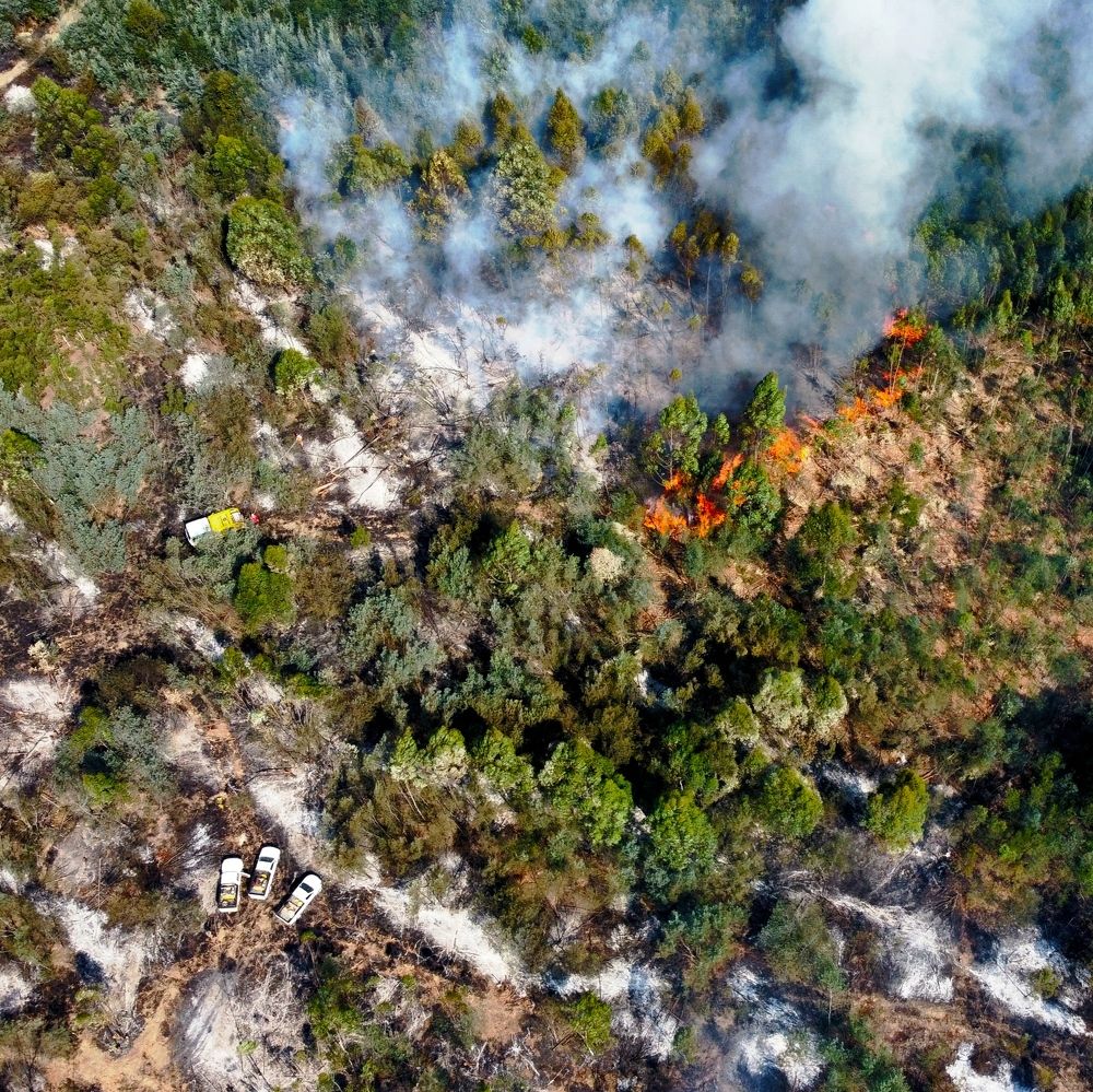 Photograph by Andrew Becker