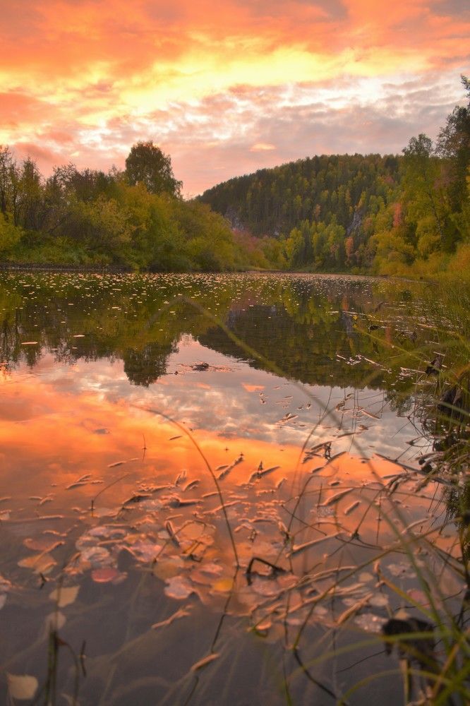 Photograph by Наталья Филатова
