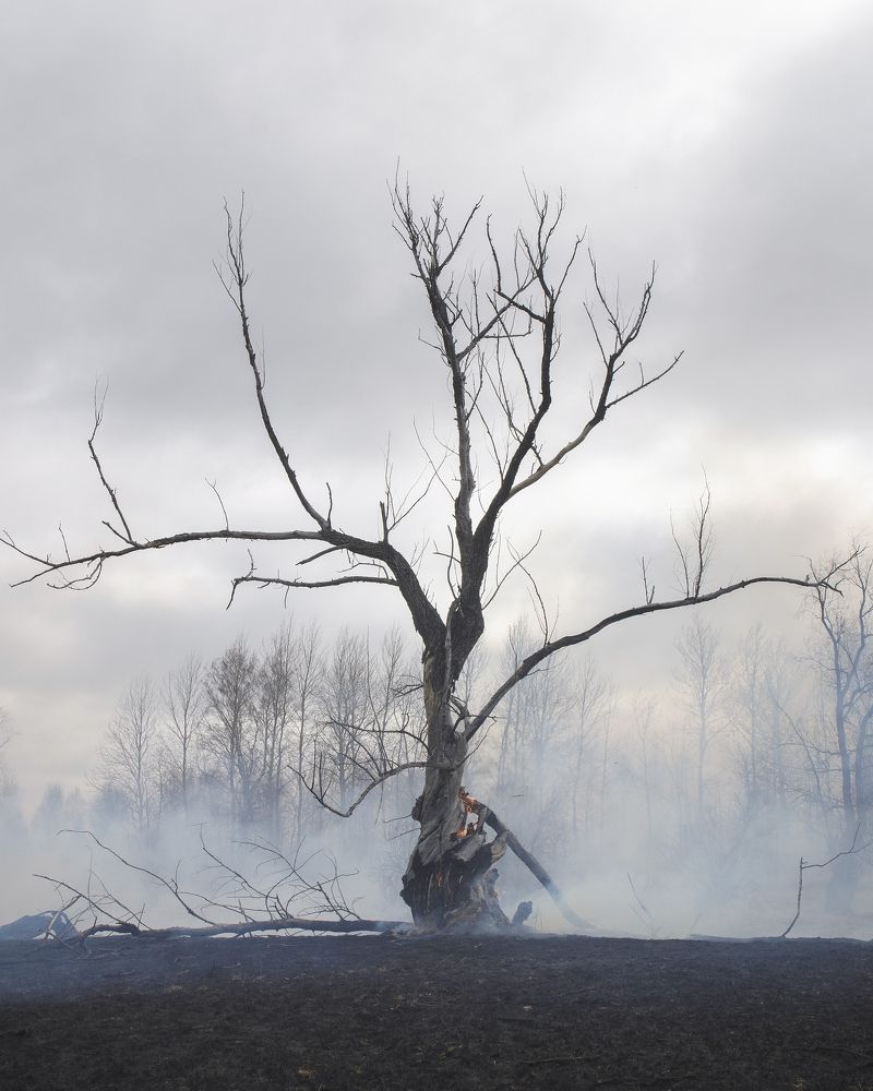 Photograph by Григорьев Денис