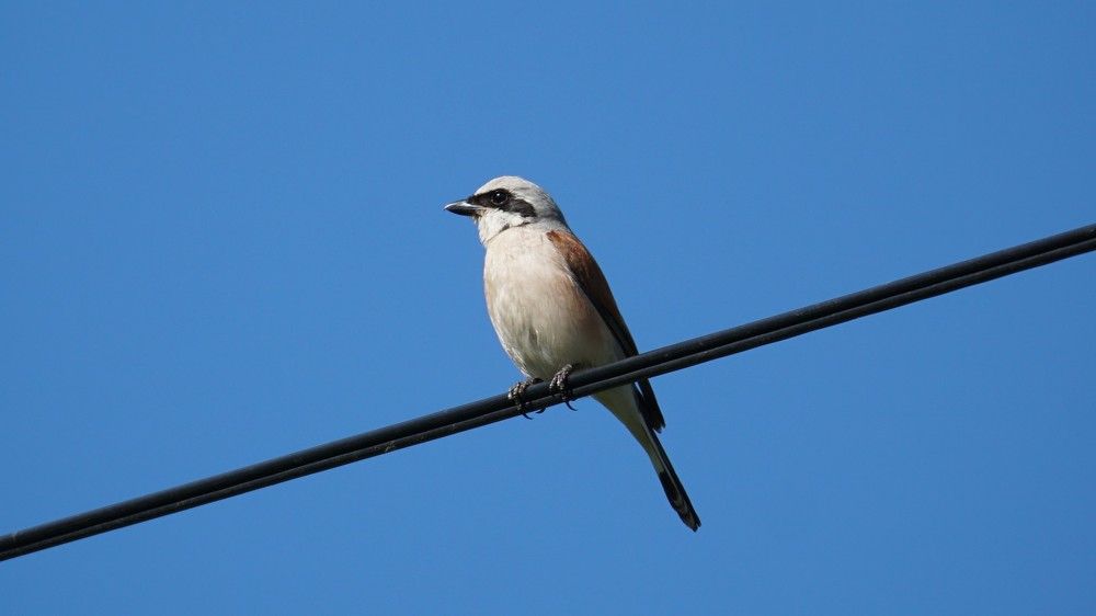 Photograph by Михаил Трусов