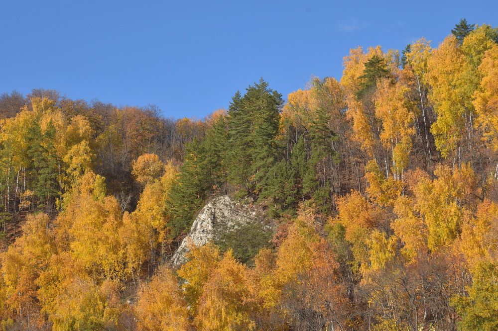 Photograph by Василий Быстрицкий