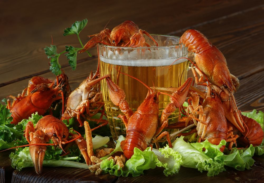 Photograph by Svetlana Karnauh Карнаух