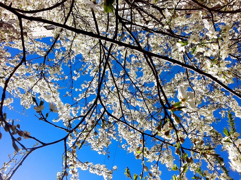 Photograph by Евгения Ульянова