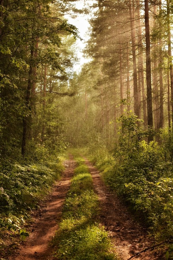 Photograph by Татьяна Абабкова