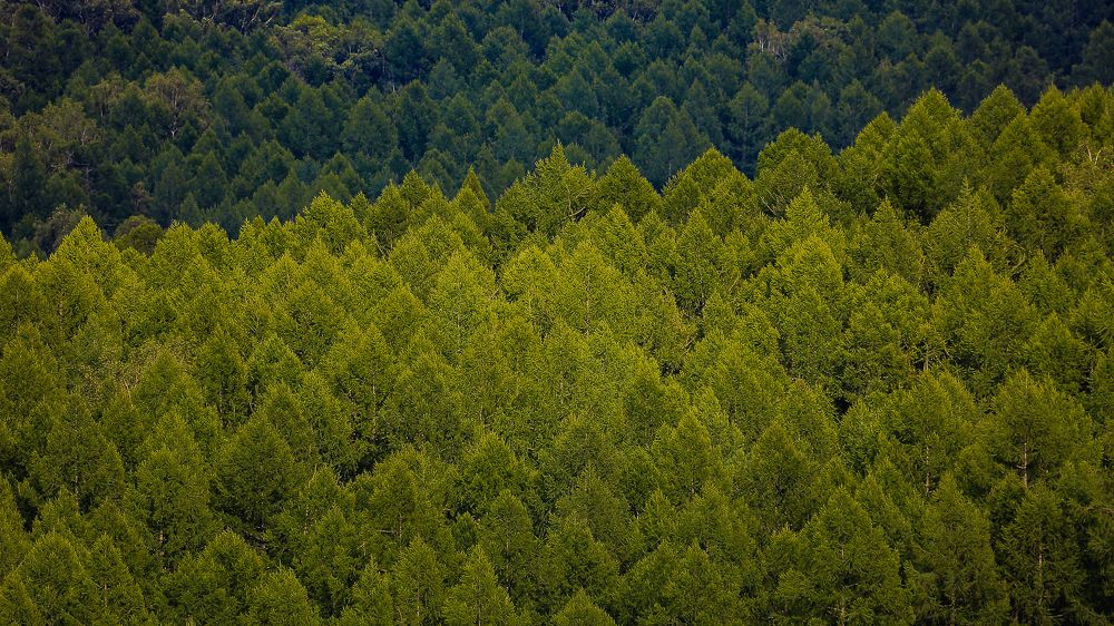 Photograph by Vladimir Schelkunov