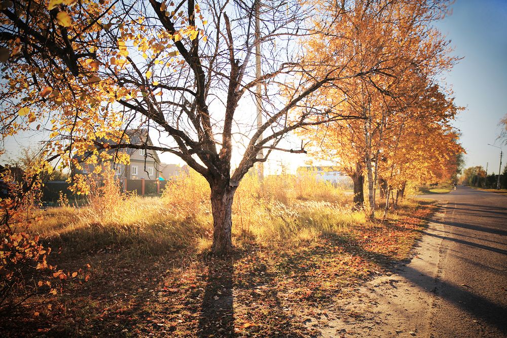 Photograph by Борис Назаров