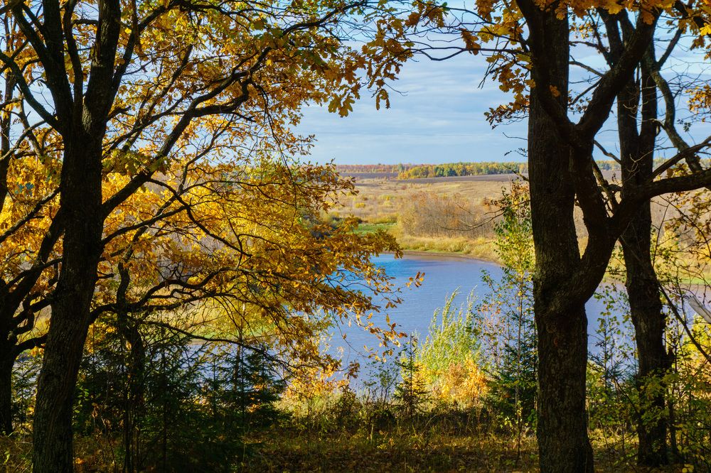 Photograph by Дмитрий Ряховский
