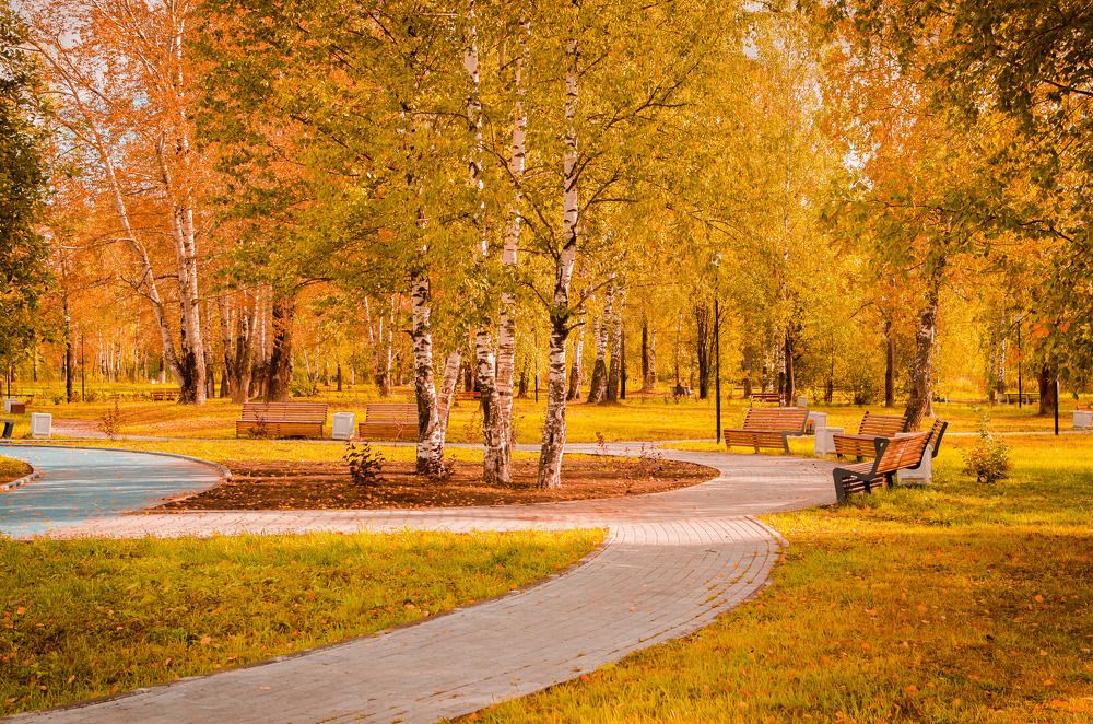 Photograph by Артём Шестаков