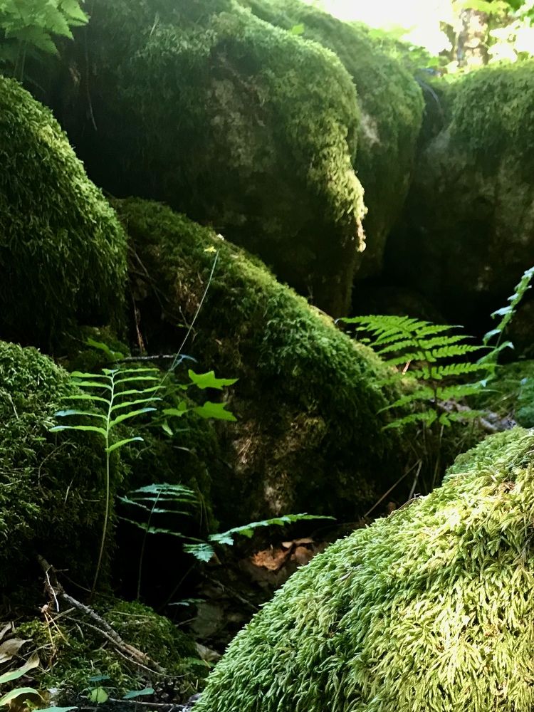 Фотография автора Gulnara