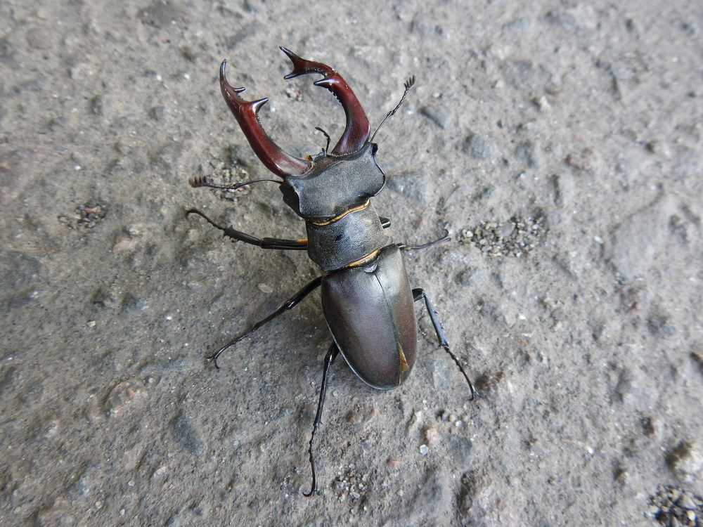 Photograph by Татьяна Калугина