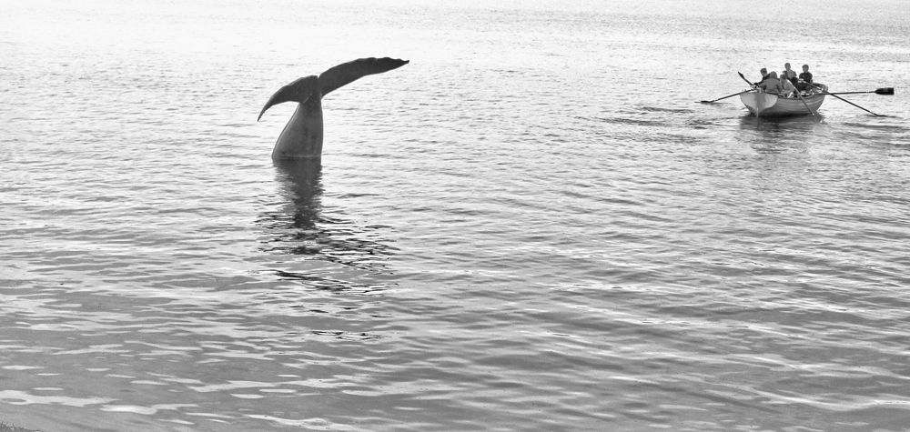 Photograph by Александр Затямин