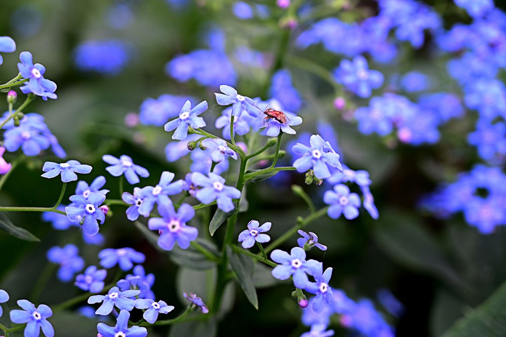 Photograph by Светлана Вербицкая