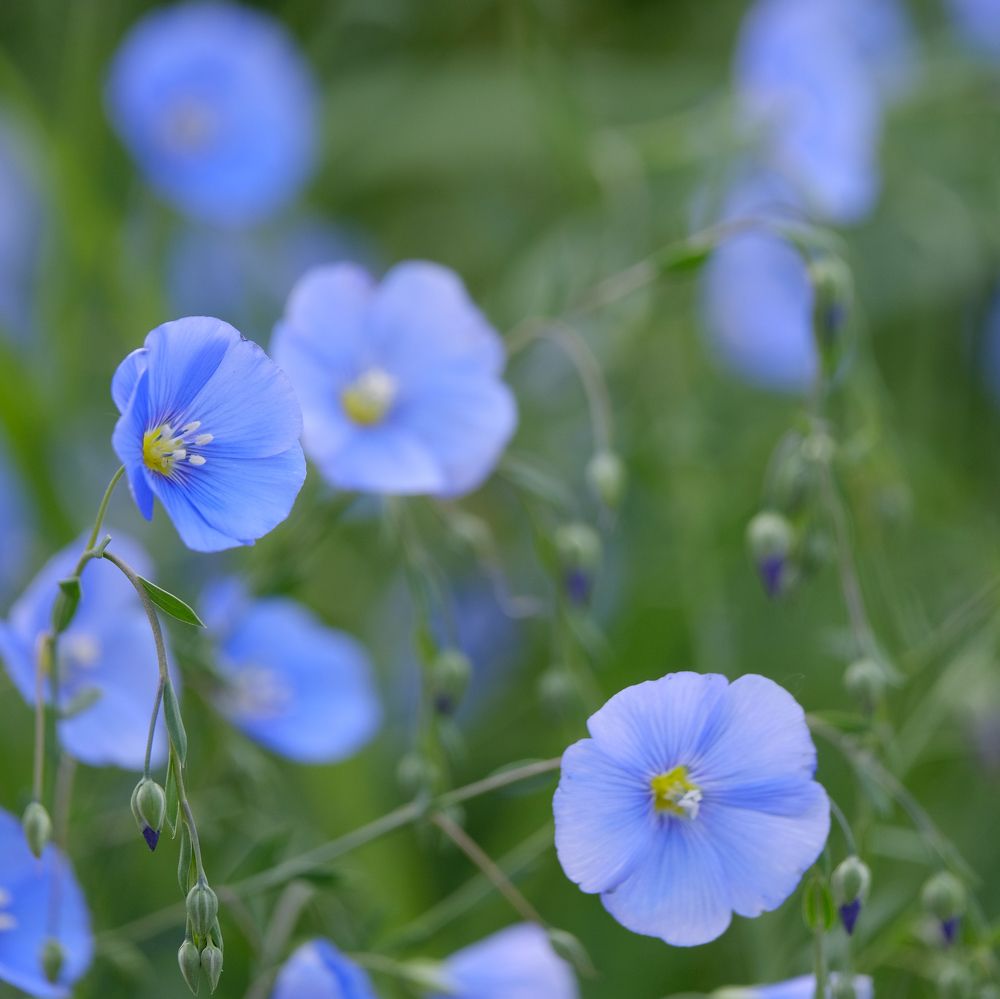 Фотография автора Александр Высоцкий