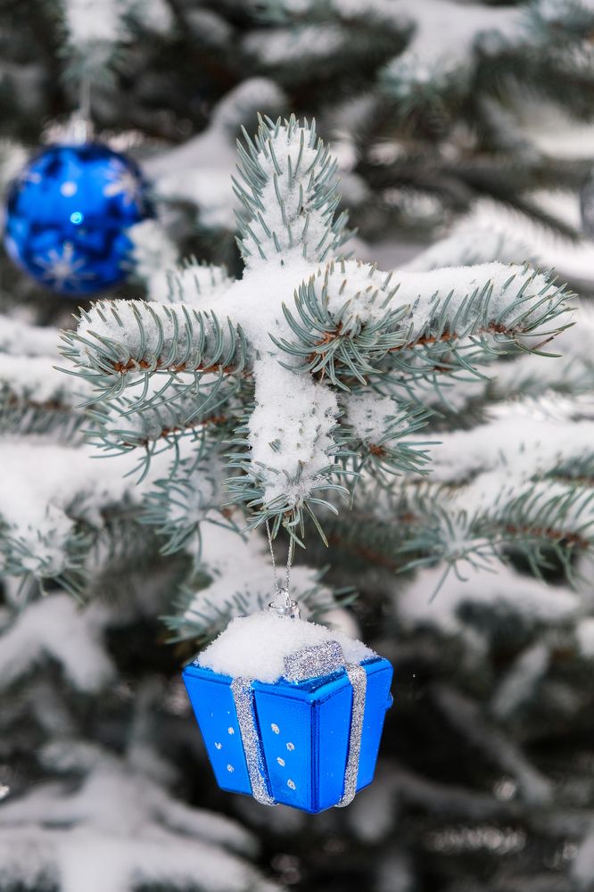 Фотография автора Александр Высоцкий