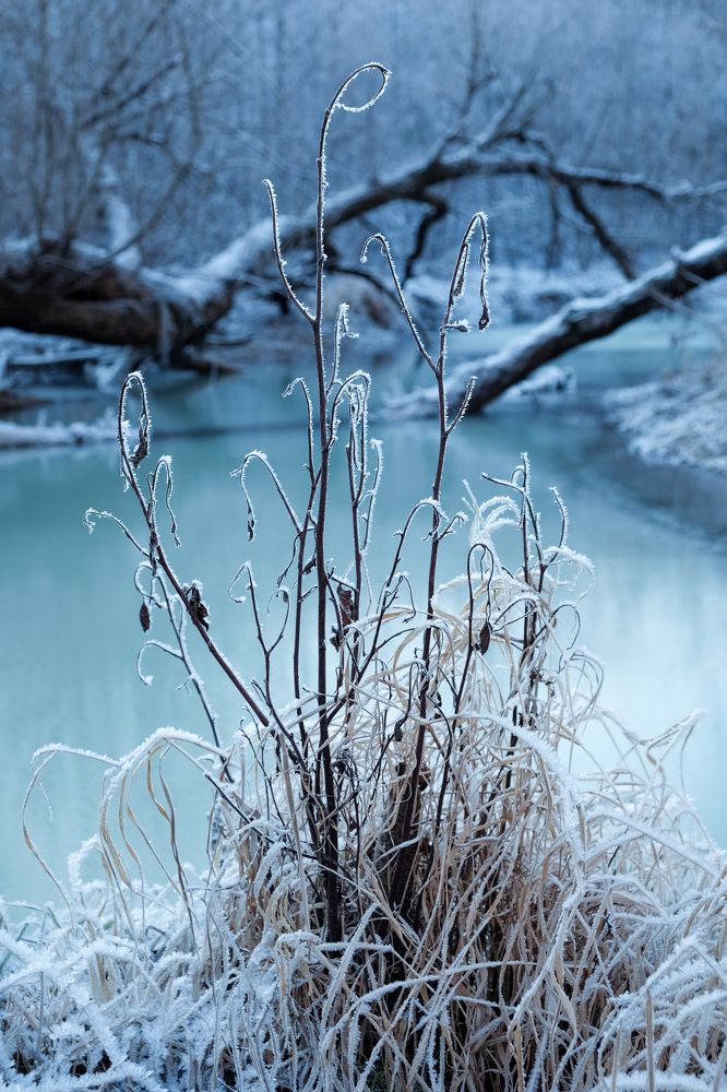 Фотография автора Александр Высоцкий
