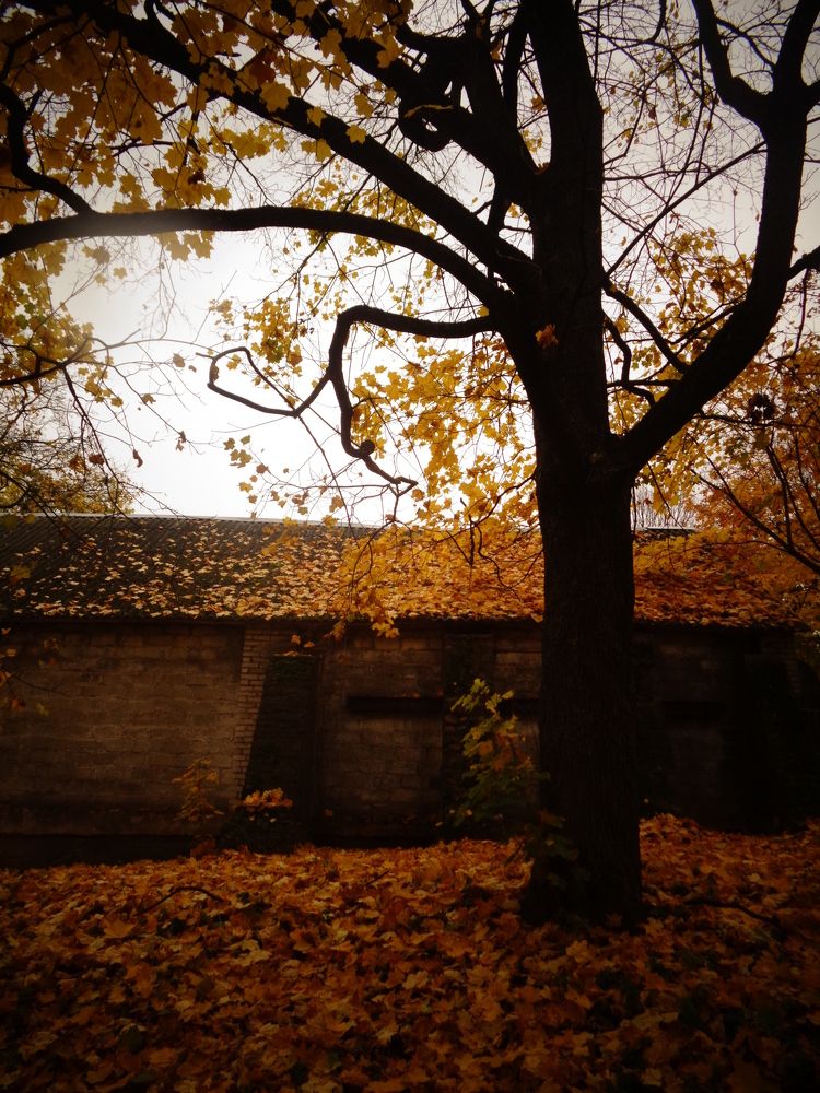 Photograph by Екатерина Щербина