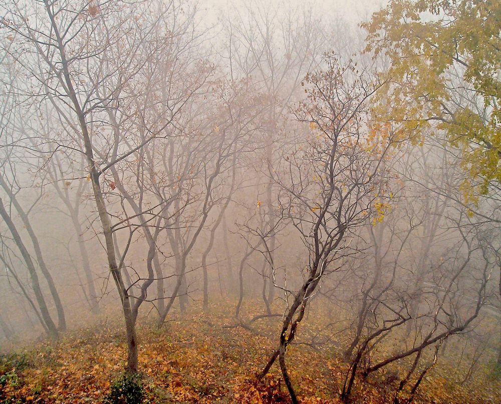 Photograph by Мария Данилкина