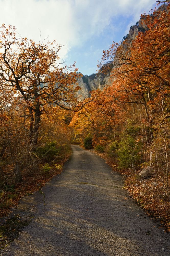 Photograph by Татьяна Предеина