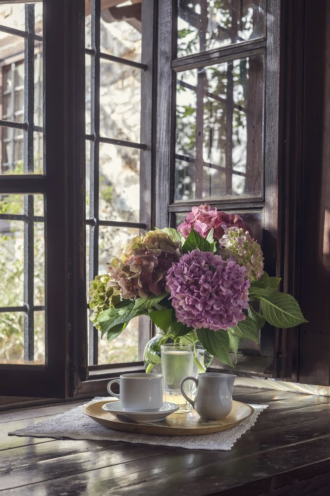 Photograph by TETYANA LYAPI