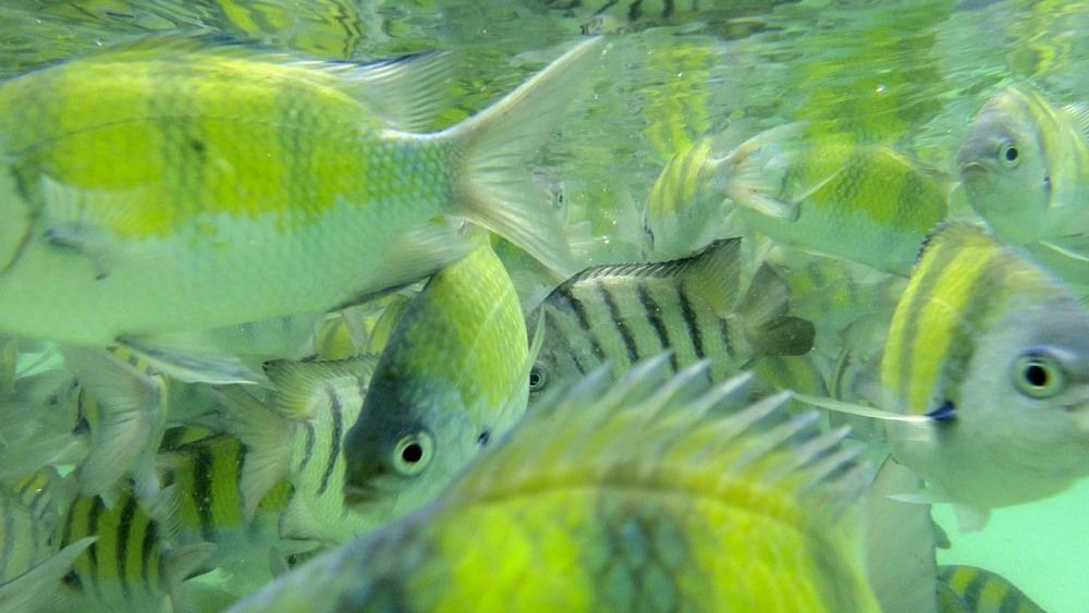 Фотография автора Татьяна Добровольская