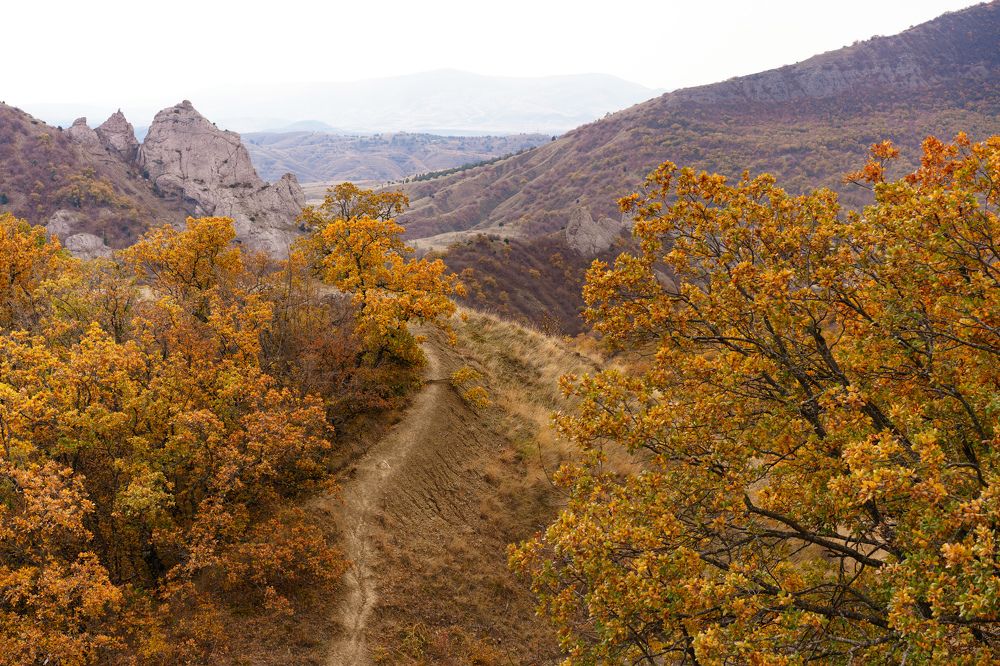 Photograph by Татьяна Предеина