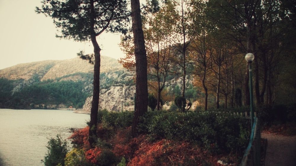 Photograph by Alp Aysgl