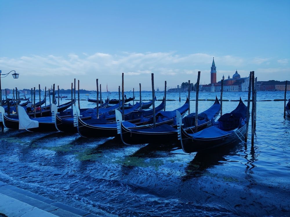 Photograph by Harold