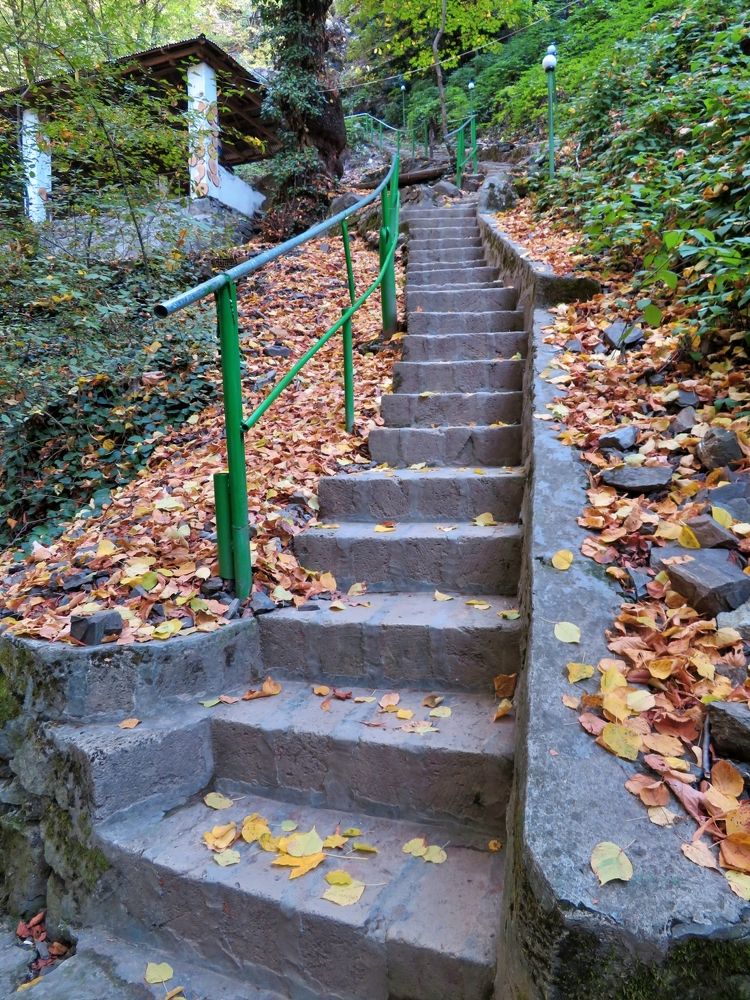 Stairs in Autumn