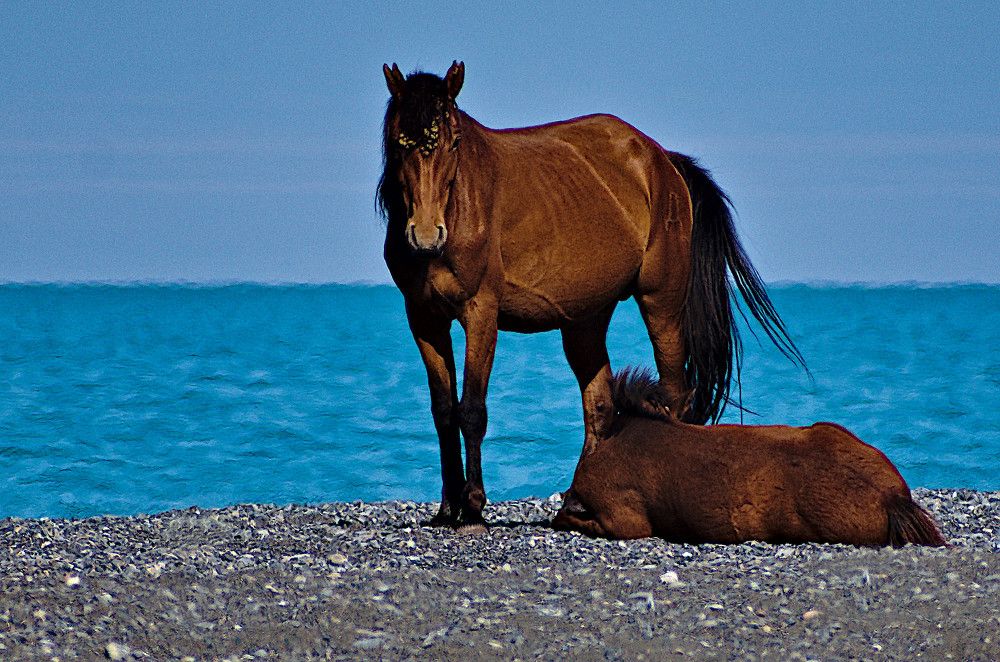 Photograph by Marina Weiland