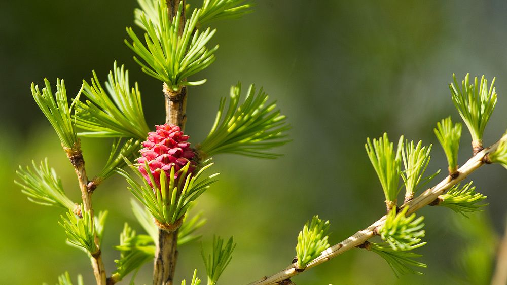 Photograph by Иван Мороз