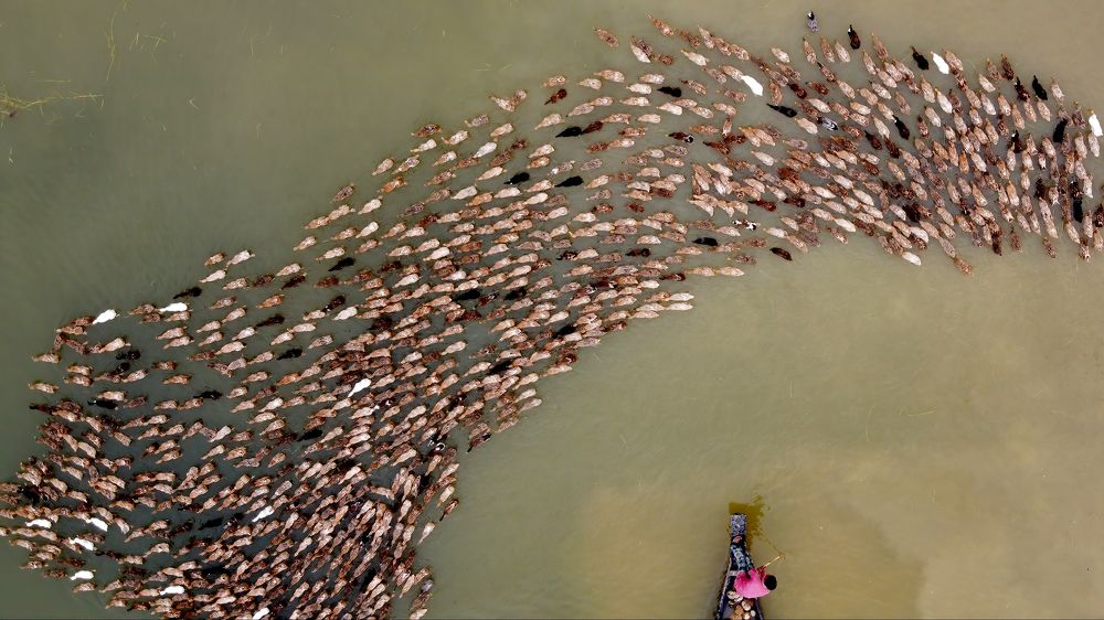 Photograph by Md. Khairul Islam