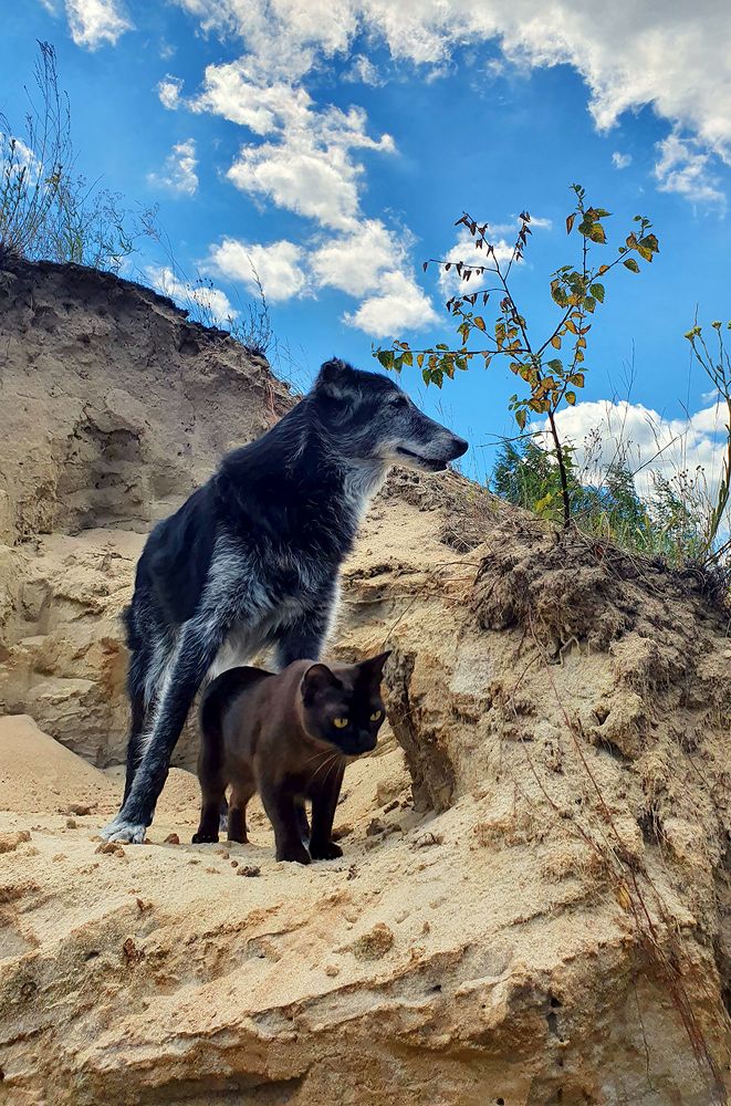 Фотография автора Надежда Лисицына