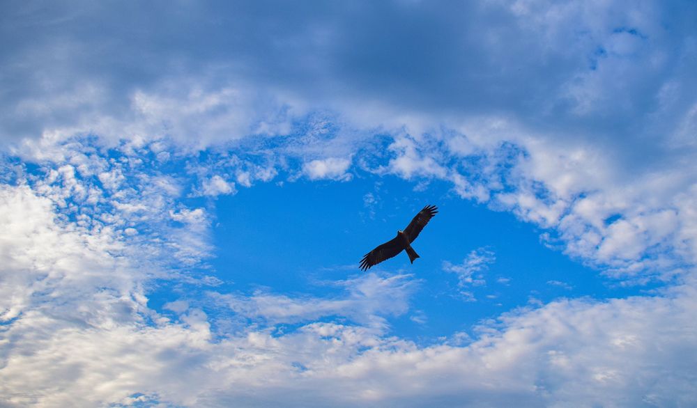 Photograph by ACHINTYA DAN